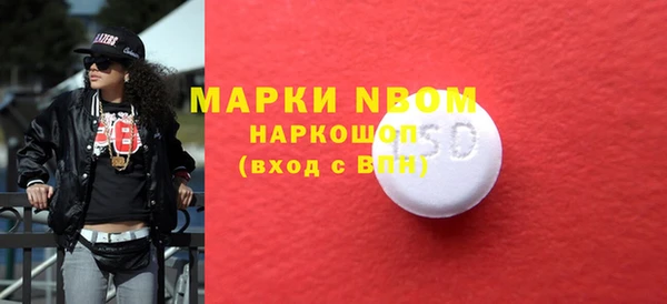 таблы Бородино