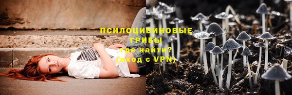 герыч Вязьма