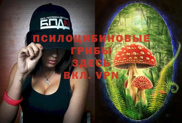 хмурый Волосово