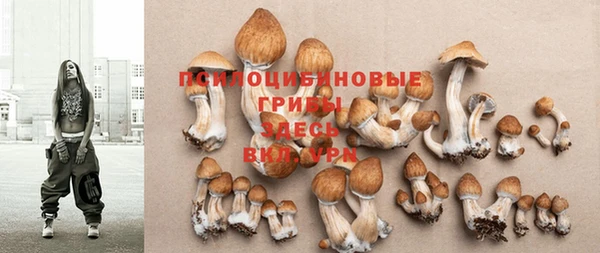 герыч Вязьма