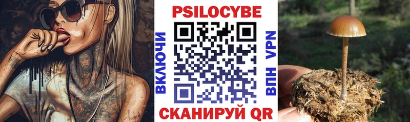 где продают   kraken маркетплейс  нарко площадка телеграм  Енисейск  Галлюциногенные грибы мицелий 